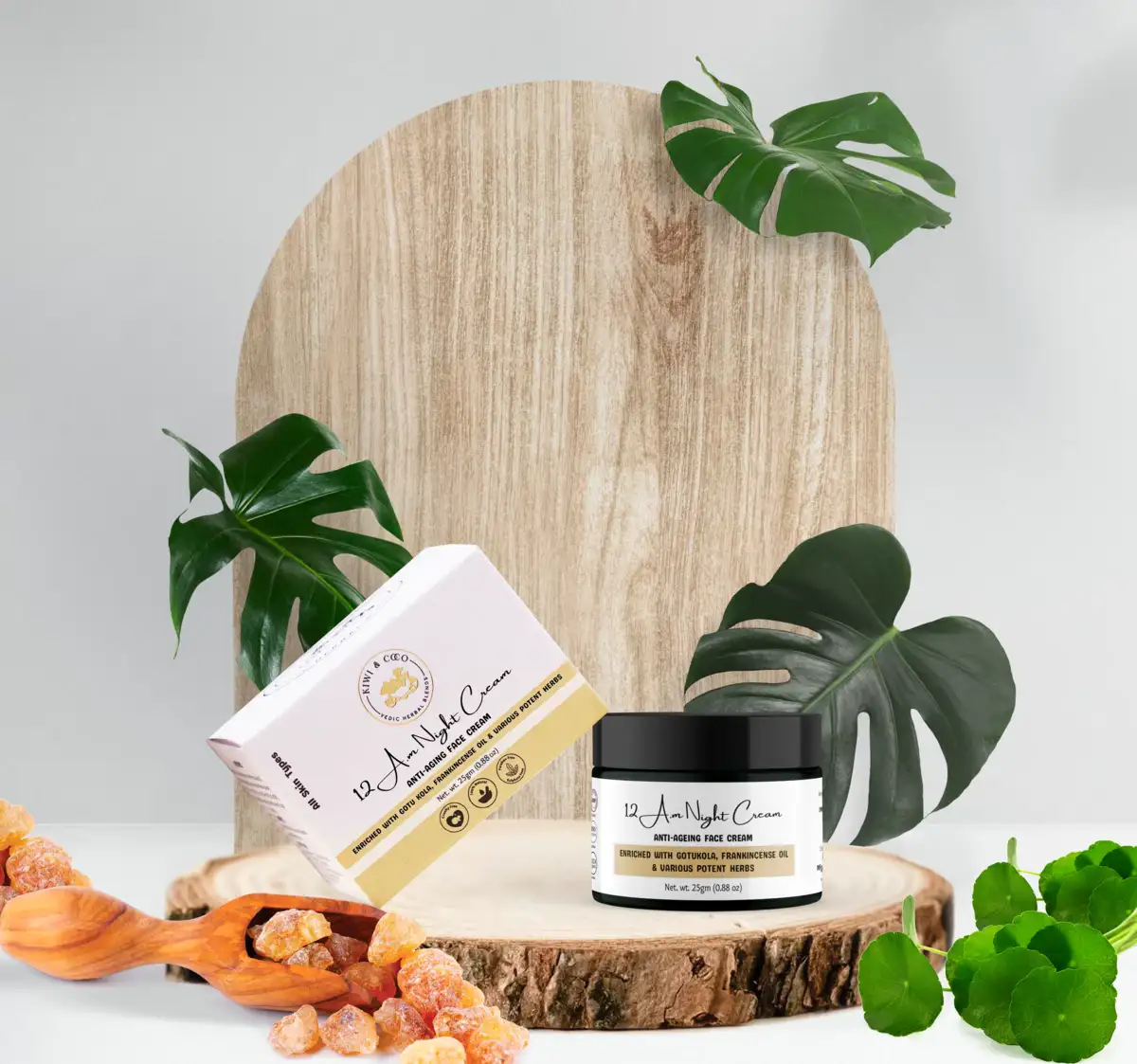 12 A.M Night Face Cream - Anti Aging Cream | All Skin Types thumbnail 5